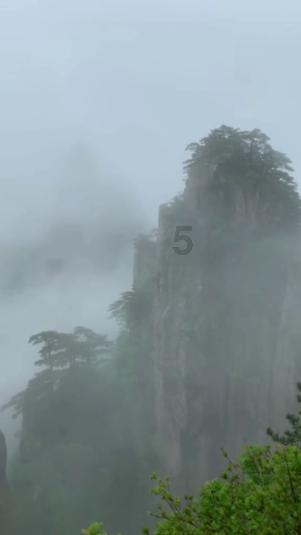 侍忍者