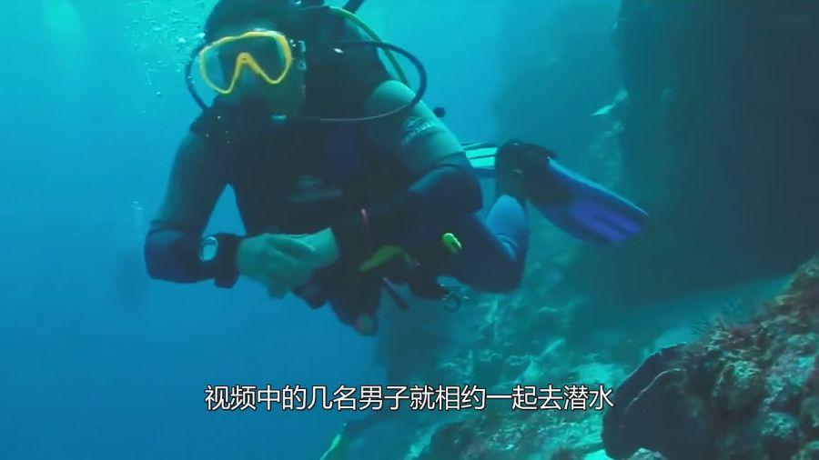 一顿浪漫晚餐