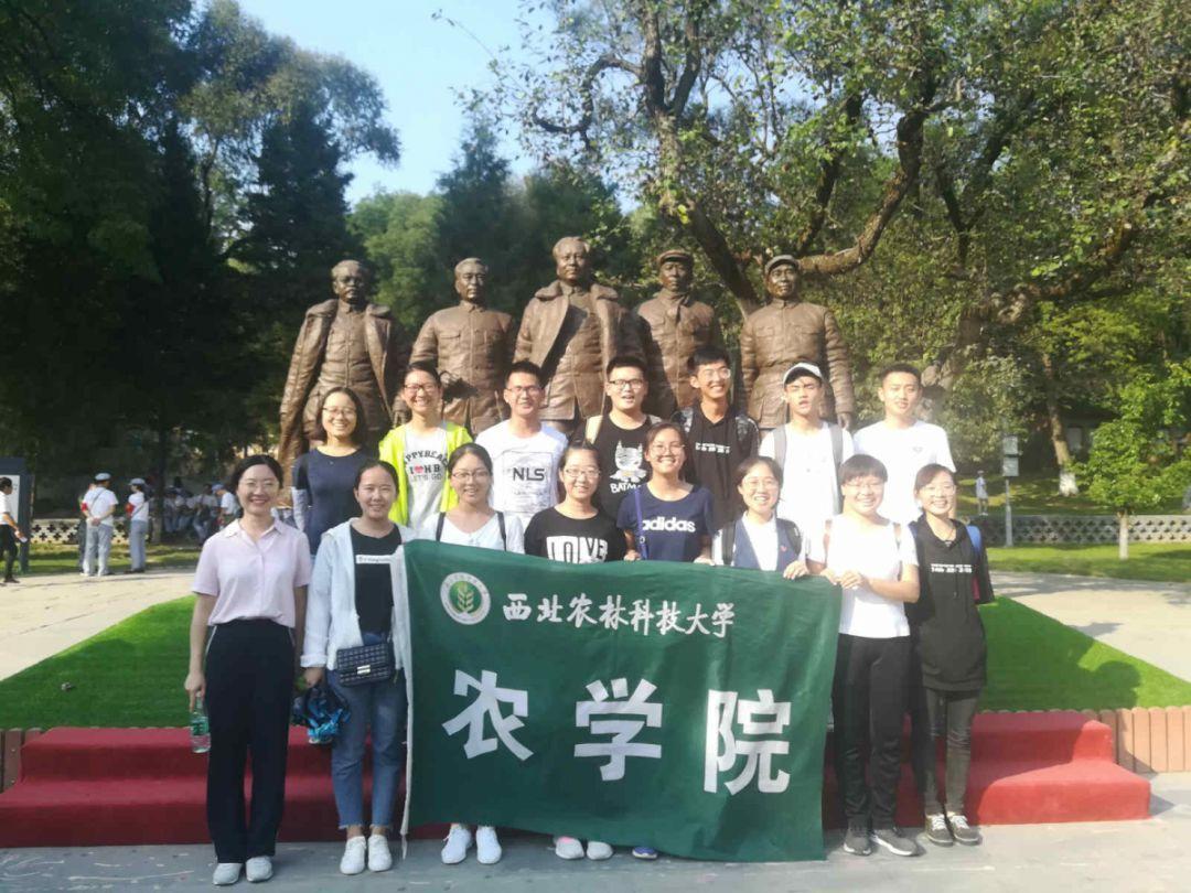 燃烧吧大脑装瓶子游戏